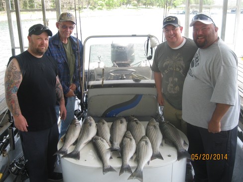 Nice Striped Bass
